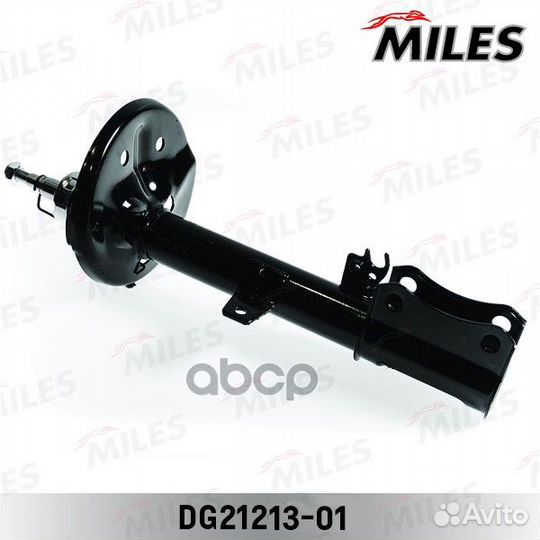 DG21213-01 DG21213-01 Miles