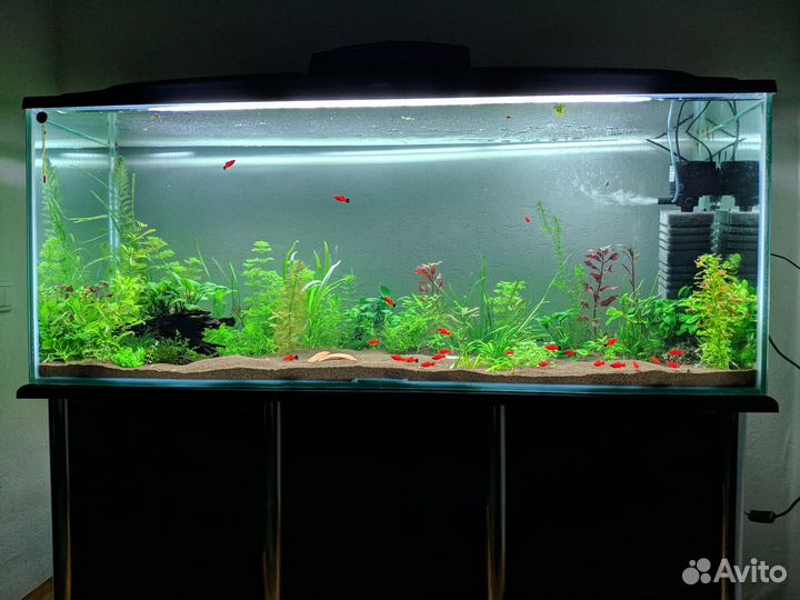 Аквариум на 500 литров