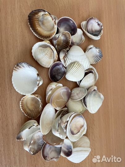 Декор в аквариум