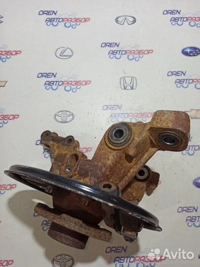 Кулак поворотный задний правый Nissan Terrano D10