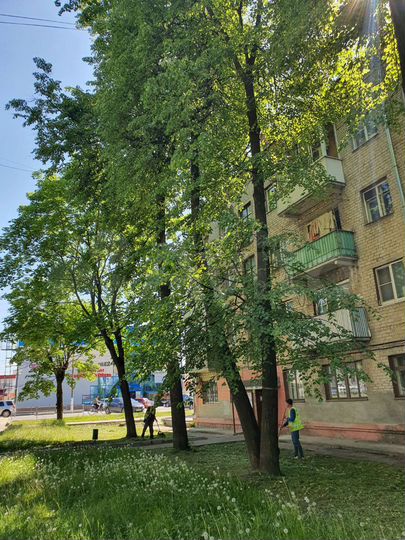2-к. квартира, 42,1 м², 1/5 эт.