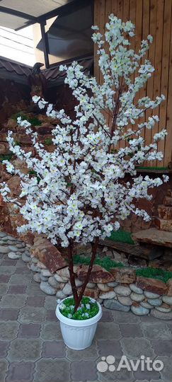 Декоративные