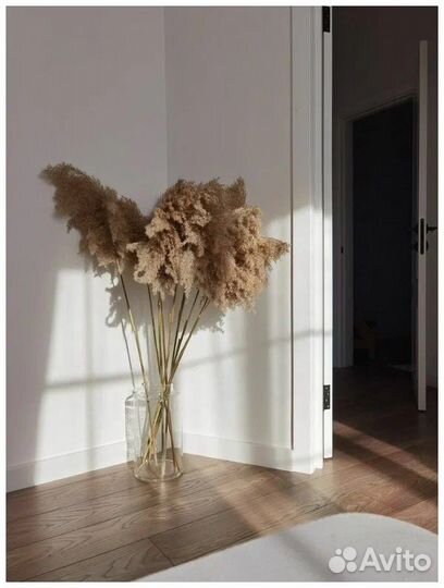 Камыш декоративный оптом по РФ