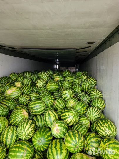 Овощи-фрукты