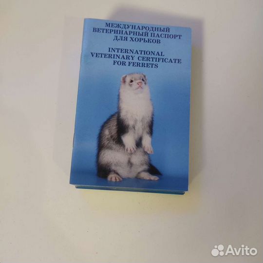 Игрушки, паспорта, подстилки, лоток, вольер