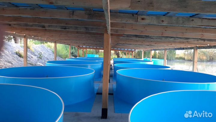 Бассейны для разведения рыбы