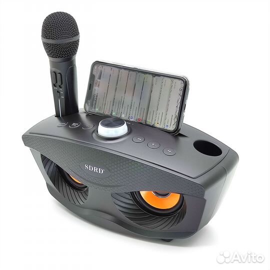 Караоке система sdrd SD-306 20Вт. Черная