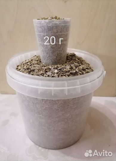 Семена укропа