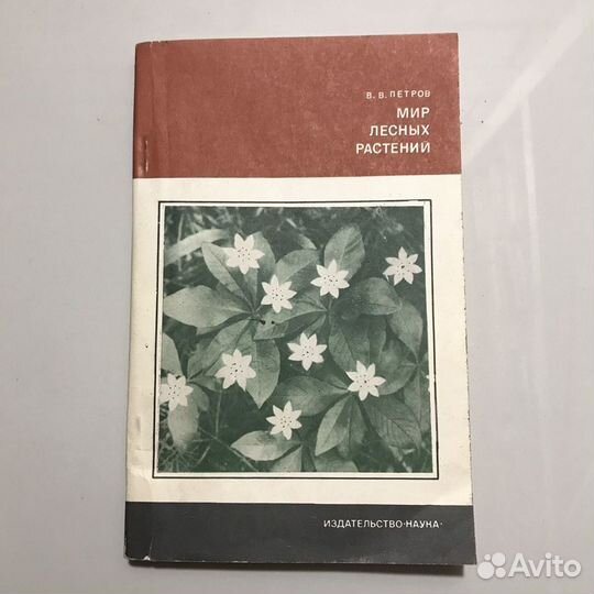 Мир лесных растений