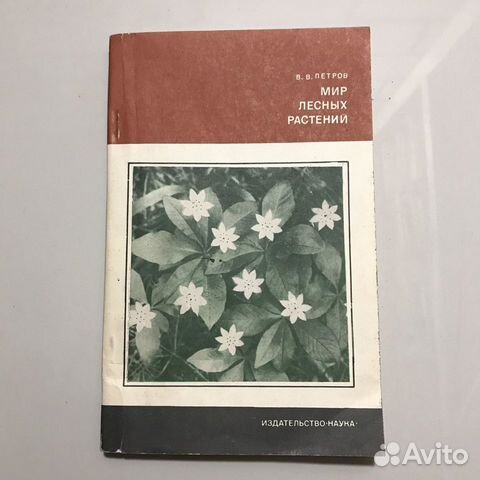 Мир лесных растений