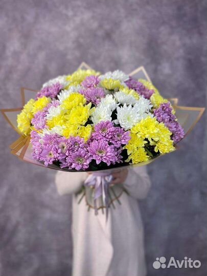 Цветы. Хризантемы с доставкой