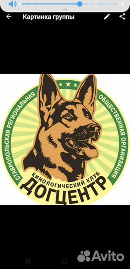 Зоогостиница для собак