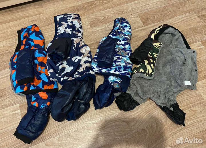 Одежда для собак