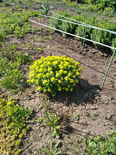 Дача 54 м² на участке 7 сот.