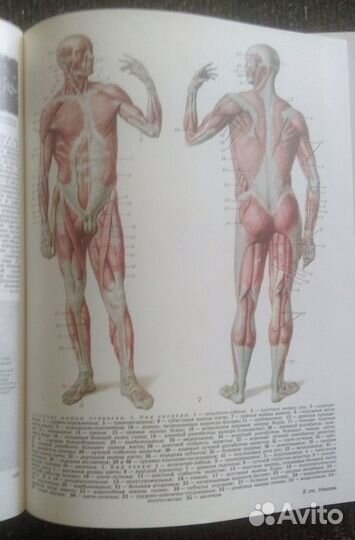 Книги Большая советская энциклопедия в 30 томах