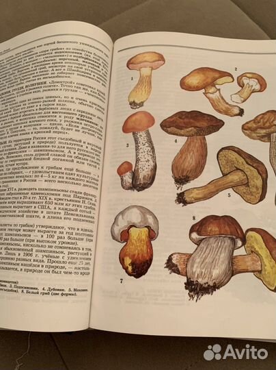 Книга: биология