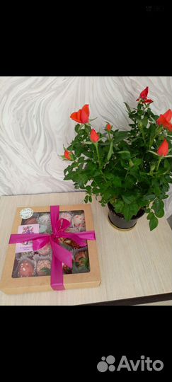 Клубника в бельгийском шоколаде