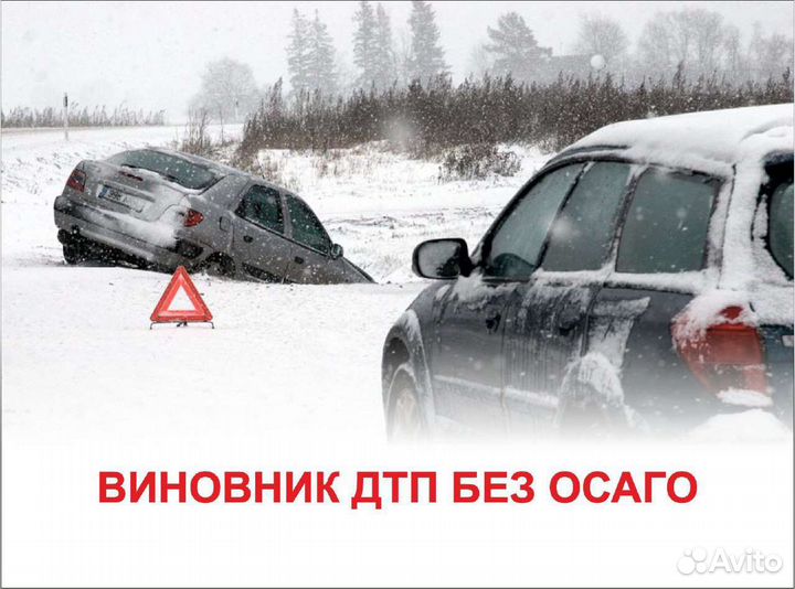 Экспертиза для суда,нотариуса, наследство