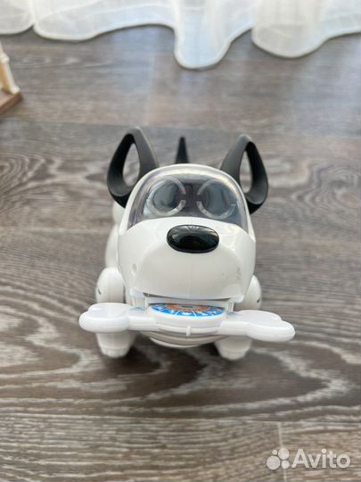 Интерактивная собака