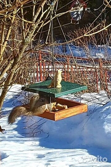 Кормушки для птиц