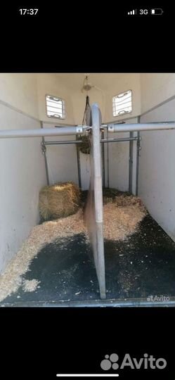 Перевозка лошадей