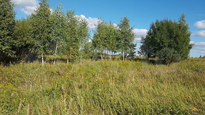 Участок 100 сот. (ИЖС)