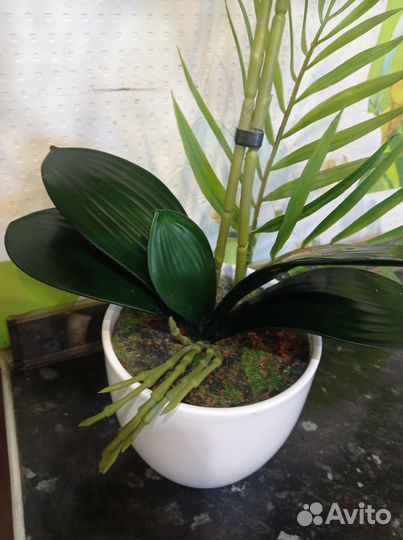 Орхидея искусственная в горшке