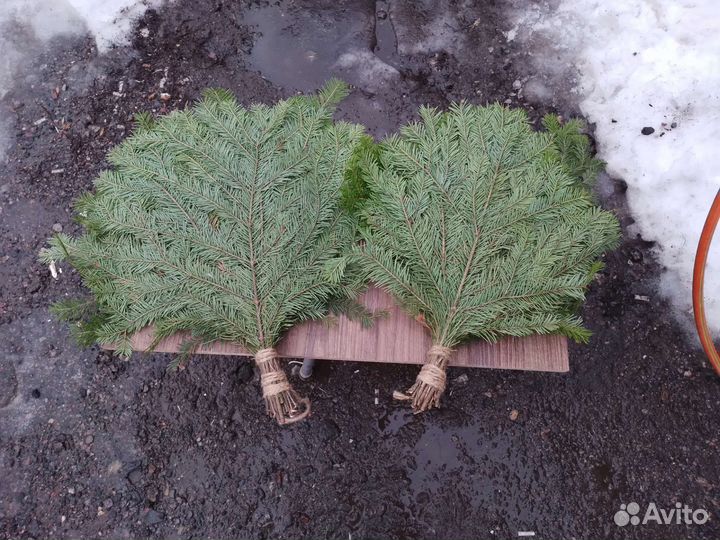 Пихтовые веники для бани