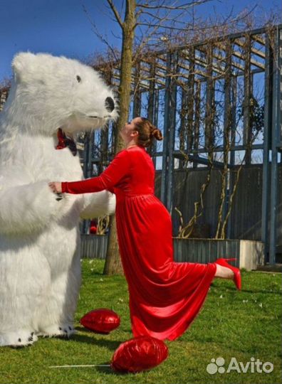 Белый мишка,панда,зайчик поздравление