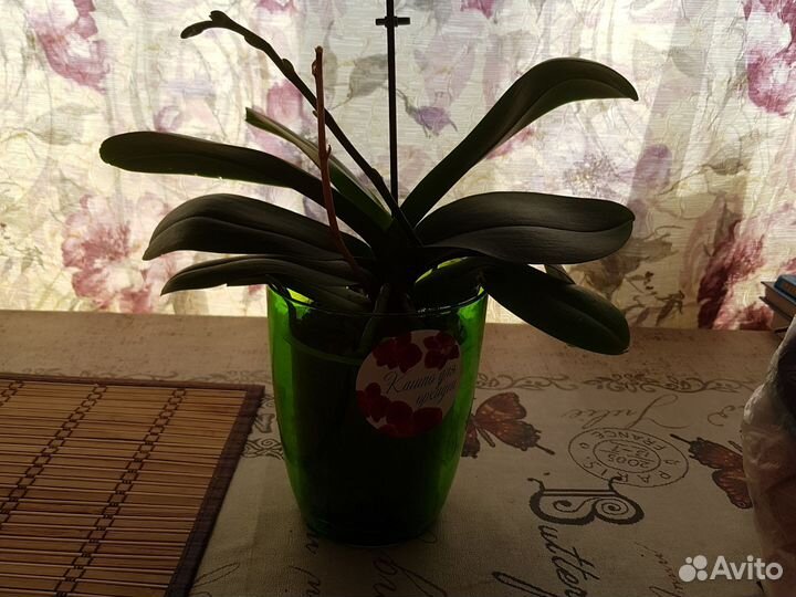 Забронировано