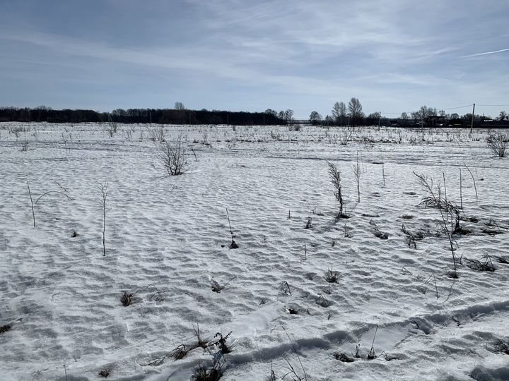 Участок 6 сот. (ИЖС)