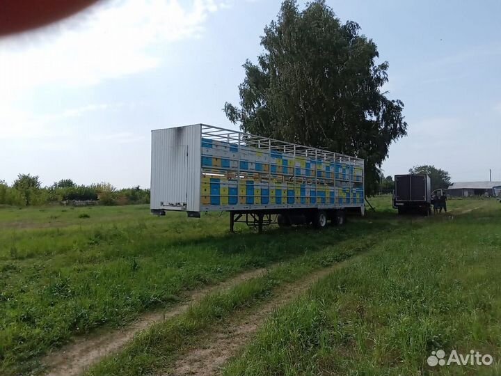 Пчелоприцеп, пчелопавильон