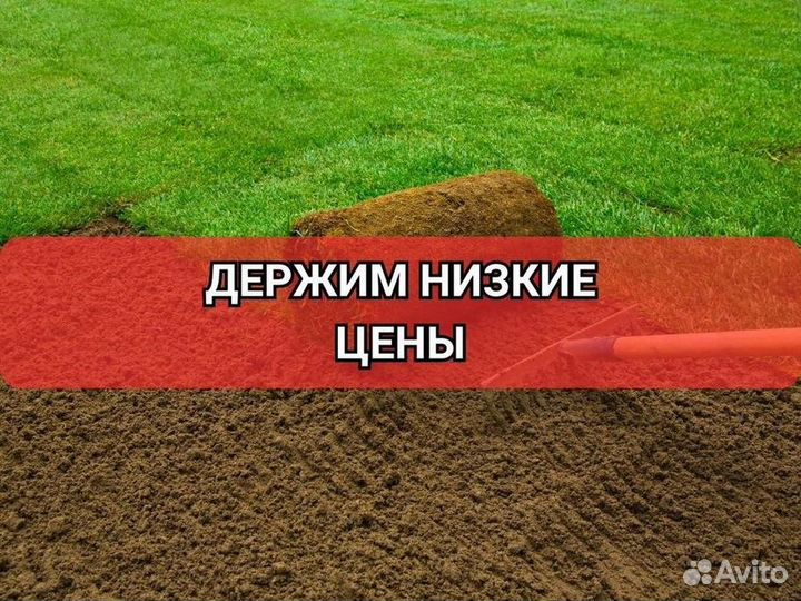 Рулонные газоны