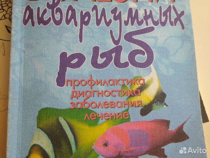 О домашних питомцах