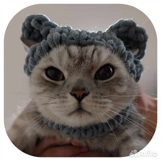 Шапки для кота