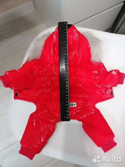 Одежда для маленьких пород собак