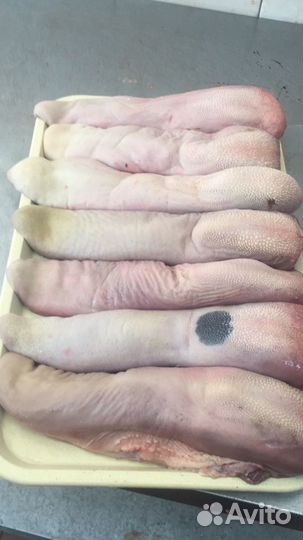 Язык говяжий