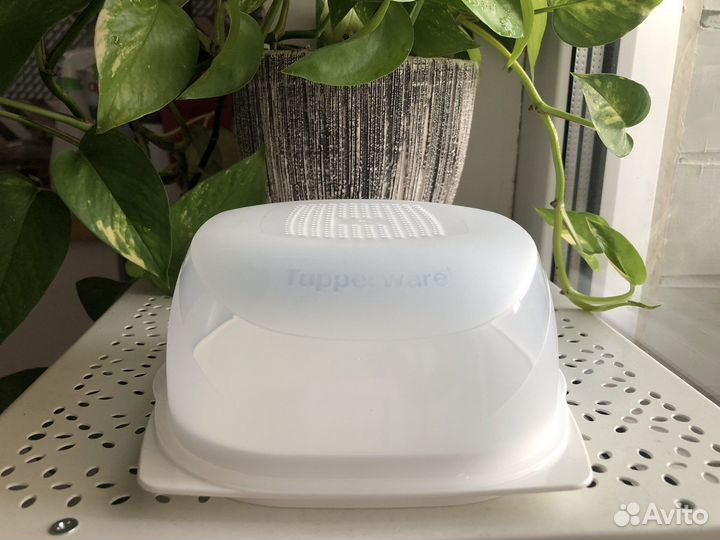 Контейнер для хранения Tupperware (Умная сырница)