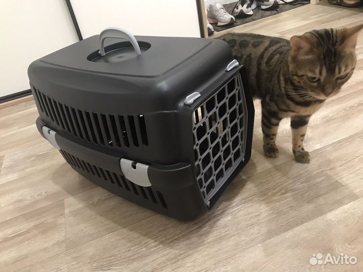 Переноска для кошек новая