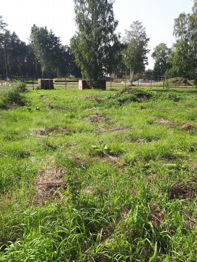 Участок 17,5 сот. (ИЖС)