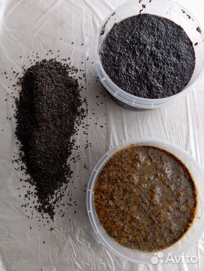 Огневка или пжвм