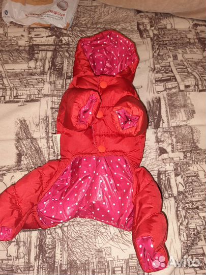 Одежда на маленькую собаку