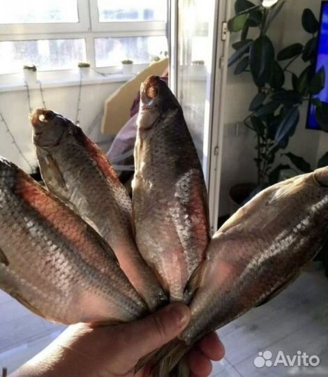 Вобла вяленая из Астрахани