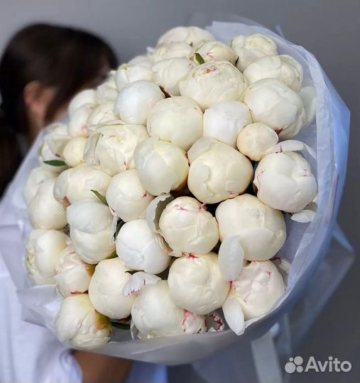 Пионы букет