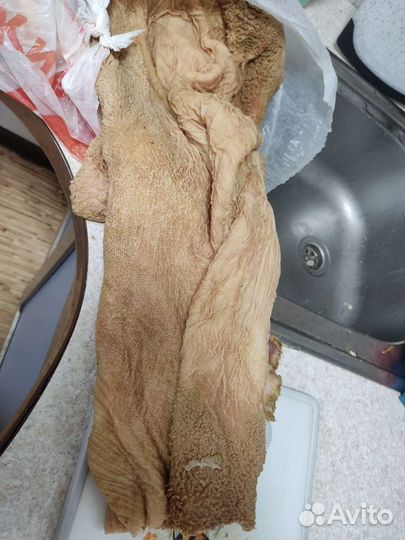 Мясо для собак рубец