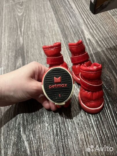 Обувь для питомца