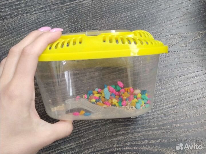 Контейнер для переноски (перевозки)