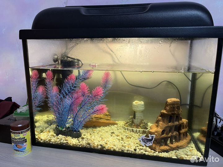 Аквариум 50л с рыбками