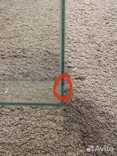 Аквариум на 10 литров