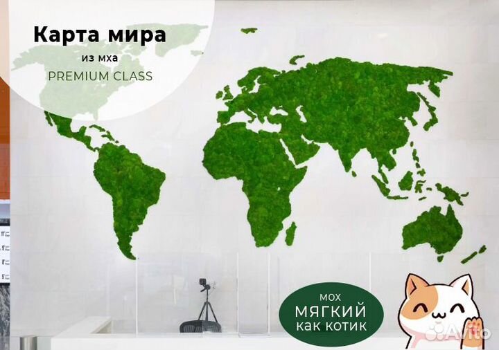 Карта мира из мха без подсветки